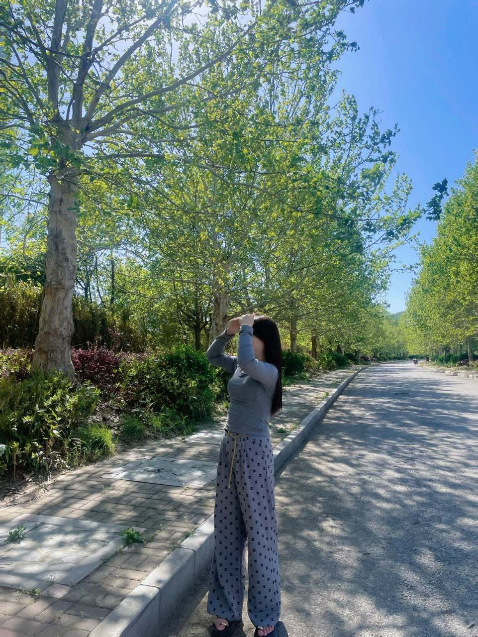 Han Bao Bao Gallery 2