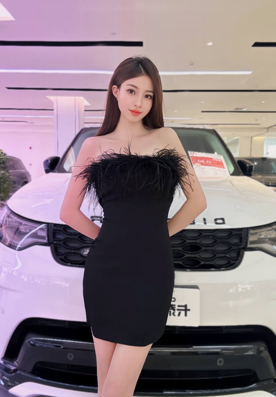 Car Model Linxuan