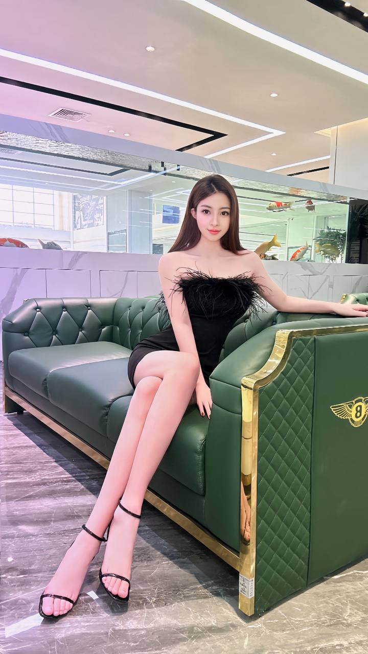 Car Model Linxuan Gallery 2