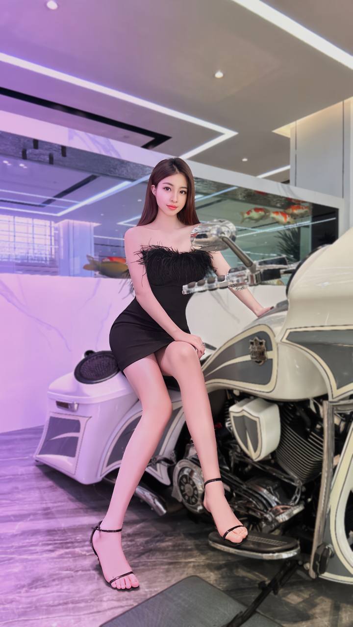 Car Model Linxuan Gallery 4