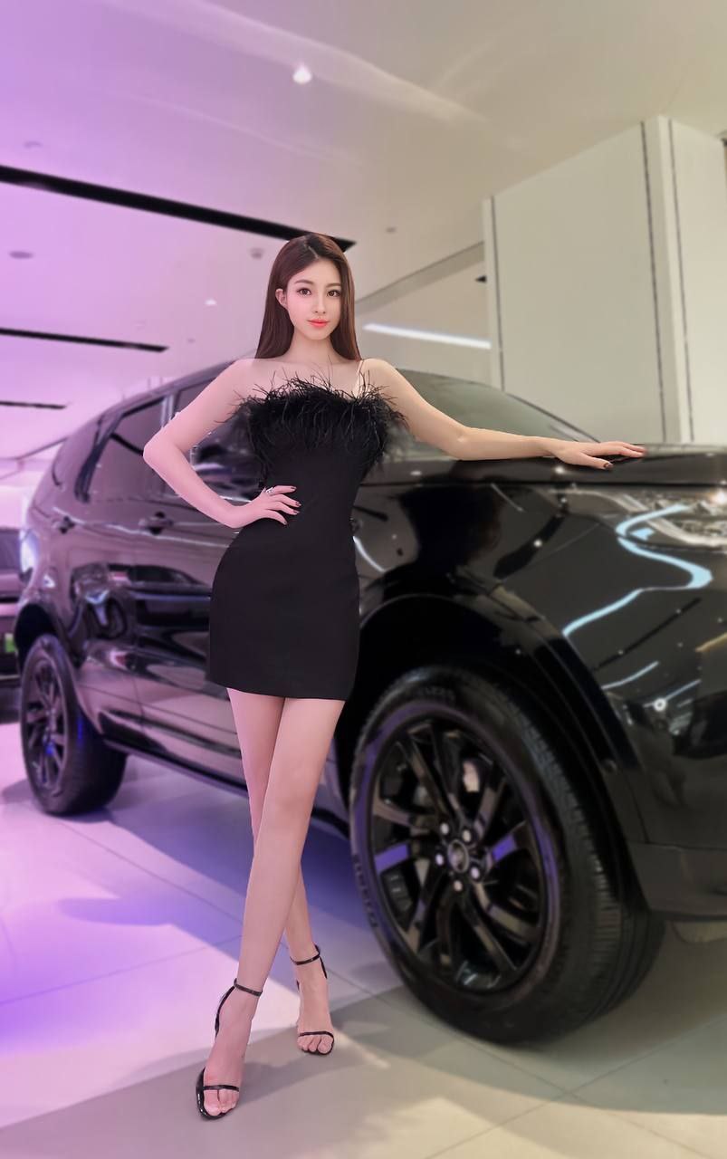 Car Model Linxuan Gallery 5