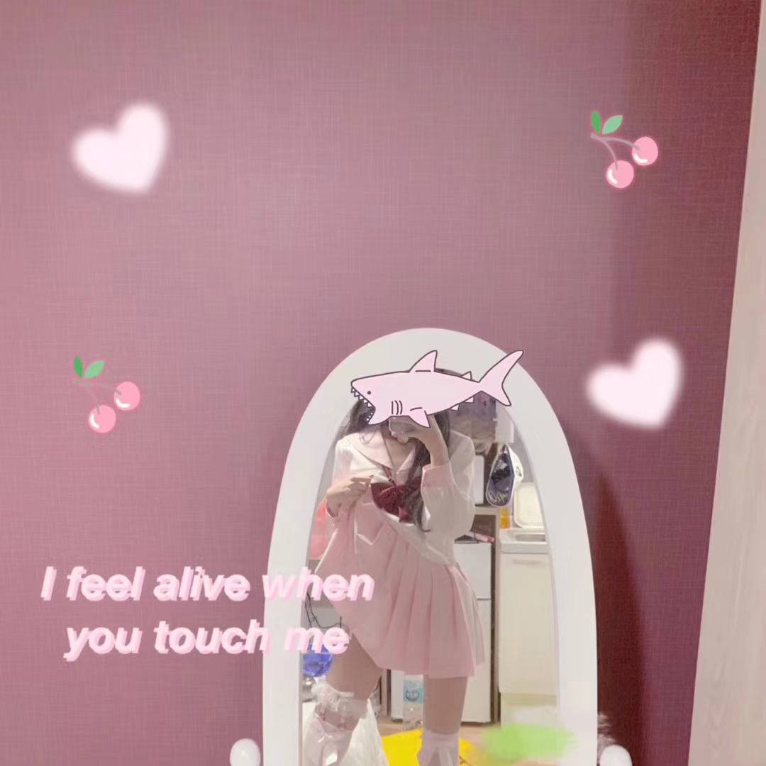 Cheese Cat Gallery 5